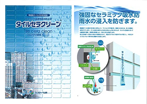 タイルセラクリーン　タイルの保護　塗料 タイルセラクリーン エスケー化研 特殊シラン化合物 容量3L 1缶 【通販